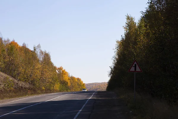 Hermosa Madera Otoño Agrada Gente Con Diferentes Pinturas —  Fotos de Stock