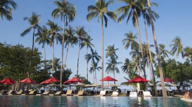 Palmiye ağaçları altında güneş yakın tatilcilerin gelen kavurucu kirişler