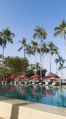 Palmiye ağaçları altında güneş yakın tatilcilerin gelen kavurucu kirişler