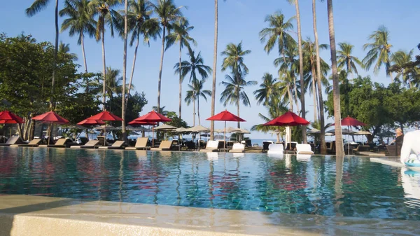 Palmiye ağaçları altında güneş yakın tatilcilerin gelen kavurucu kirişler