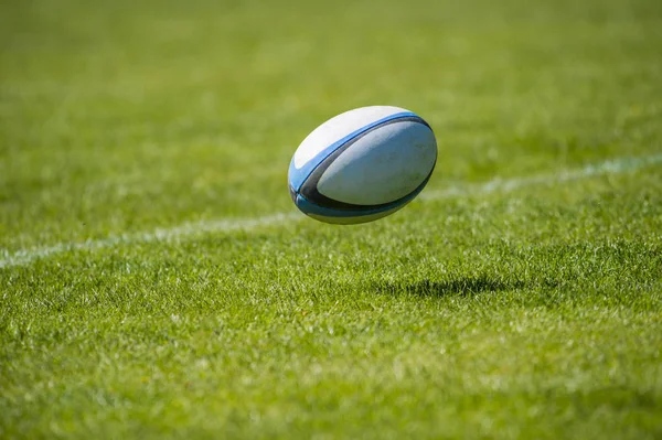 Rugby topu yere stadyumda çimen