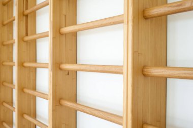 Okul jimnastik salonu barlarda duvar