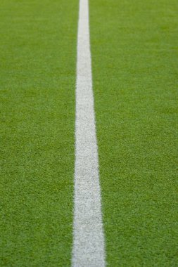 Bitkinin dokusu spor alanını kaplıyor. Tenis, golf, beyzbol, çim hokeyi, futbol, kriket, rugby.