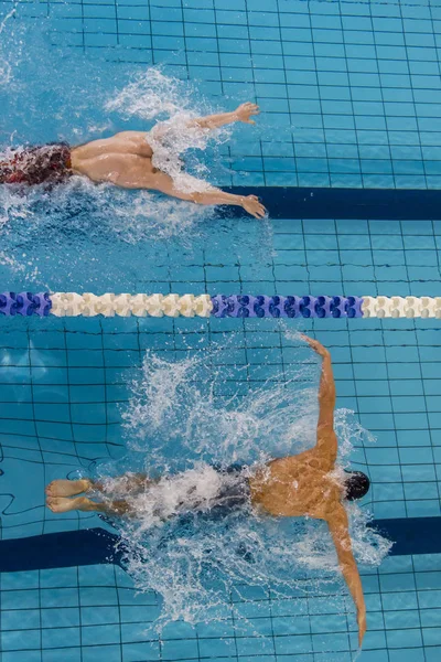 Nuotatori Nuota Farfalla Una Piscina Gara Gara — Foto Stock