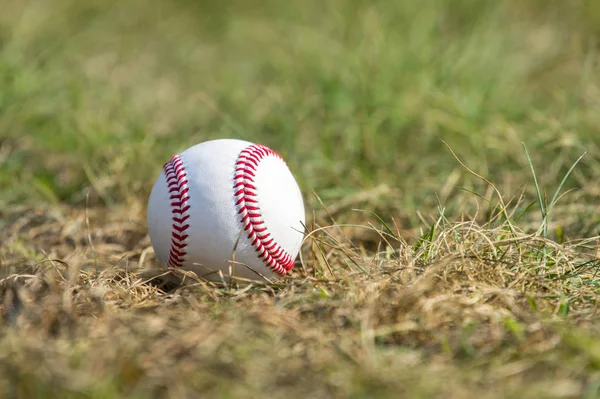 Una Pelota Béisbol Blanca Hierba Verde — Foto de Stock