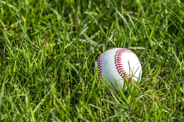Biały Baseball Zielonej Trawy — Zdjęcie stockowe