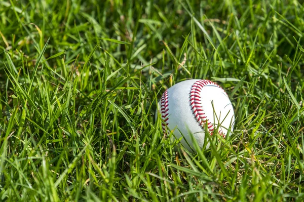 Una Pelota Béisbol Blanca Hierba Verde Fresca — Foto de Stock