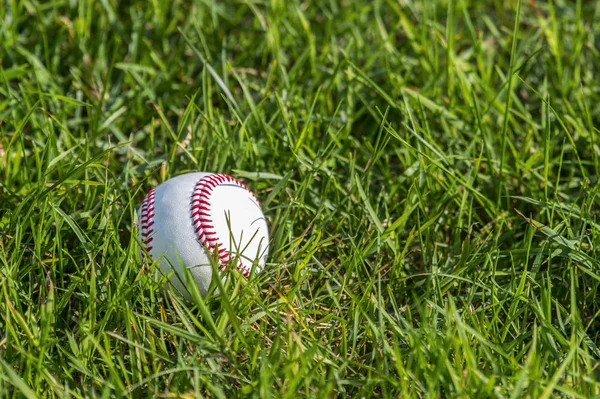 Una Pelota Béisbol Blanca Hierba Verde Fresca — Foto de Stock