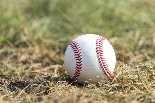 Biały Baseball Zielonej Trawie — Zdjęcie stockowe