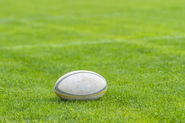 Rugby Ball Green Grass Photo Taken Rugby Match — Stock Photo, Image