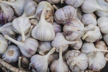 Beyaz sarımsak kazık doku. Pazar tablo closeup fotoğraf üstünde taze sarımsak.