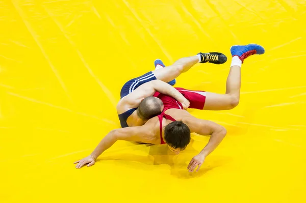 Mavi Kırmızı Bir Sarı Halı Spor Salonunda Güreş Güreş Iki — Stok fotoğraf