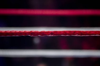 Boks halka bir bulanıklık spot ışığı ile ipleri