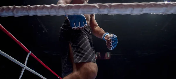 Arena yarışma sırasında yere karışık dövüş sanatları savaşçılar. MMA savaşçı mücadele kat halkası üzerinde