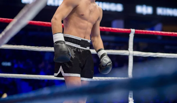 Händerna Fighter Boxning Handskar Lägger Linor Ring — Stockfoto