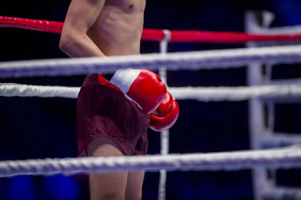 Rukou Boxerské Rukavice Fighter Klade Provazy Ringu — Stock fotografie