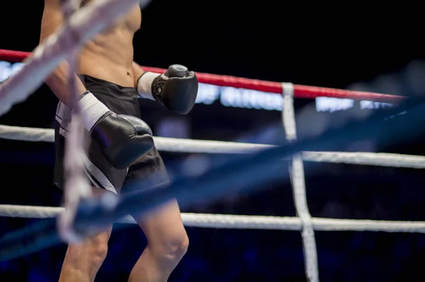 Händerna Fighter Boxning Handskar Lägger Linor Ring — Stockfoto