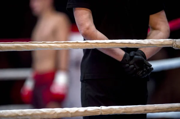 Boxing ring ropes and referee in black clothes in ring two fighters MMA, boxing martial arts competition