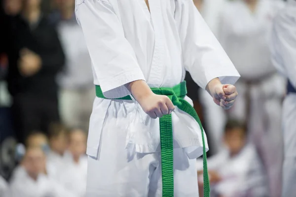 Genç Güzel Başarılı Karate Kid Karate Pozisyonda Spor Yarışması — Stok fotoğraf