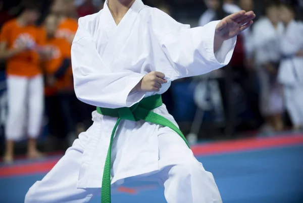 Genç Güzel Başarılı Karate Kid Karate Pozisyonda Spor Yarışması — Stok fotoğraf