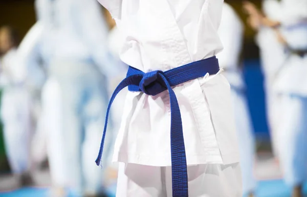 Japanse Karate Sport Concept — Stockfoto