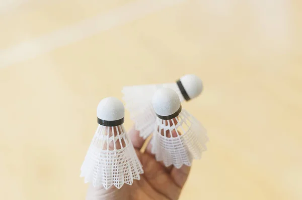 Player preparing to play badminton. Holding the shuttlecock