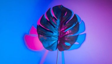 Neon ışıklı tropikal yaprak. Holografik yapraklar.