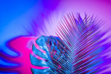 Canlı kalın degrade holografik renklerde tropikal ve palmiye yaprakları