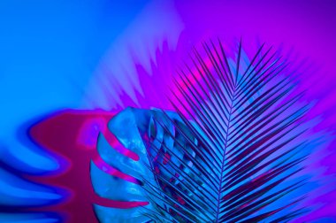 Canlı kalın degrade holografik renklerde tropikal ve palmiye yaprakları