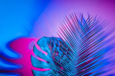 Canlı kalın degrade holografik renklerde tropikal ve palmiye yaprakları