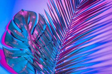Canlı kalın degrade holografik renklerde tropikal ve palmiye yaprakları