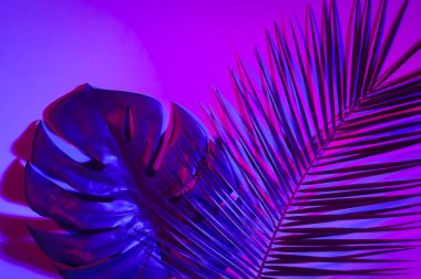 Canlı kalın degrade holografik renklerde tropikal ve palmiye yaprakları