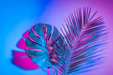 Tropikal Monstera ve palmiye canlı kalın degrade holografik renklerde kalkıyor. Konsept sanat. En az Sürrealizm