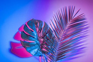 Tropikal Monstera ve palmiye canlı kalın degrade holografik renklerde kalkıyor. Konsept sanat. En az Sürrealizm