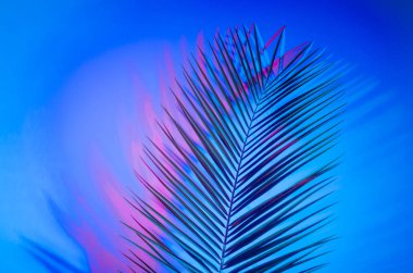 Parlak tropikal cennet bırakır, neon ışık palmiye yaprakları