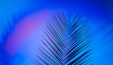 Canlı, kalın, gradyan holografik neon renkli tropikal yapraklar.