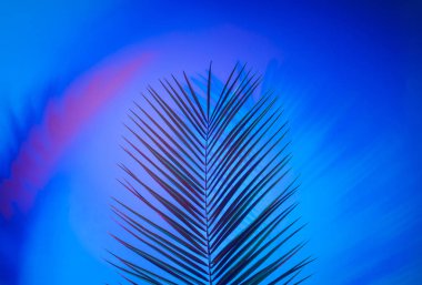 Canlı, kalın, gradyan holografik neon renkli tropikal yapraklar.