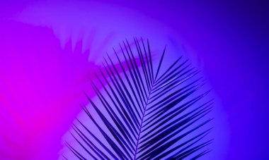 Neon ışıklı tropikal yaprak. Holografik yapraklar.