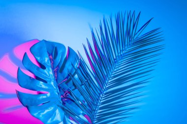 Neon ışıklı tropikal yaprak. Holografik yapraklar.