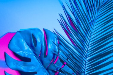 Holografik yapraklar. Sanat kavramı. Asgari sürrealizm arka planı