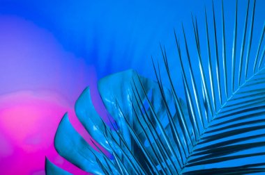 Holografik yapraklar. Sanat kavramı. Asgari sürrealizm arka planı