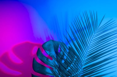 Holografik yapraklar. Sanat kavramı. Asgari sürrealizm arka planı