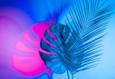 Holografik yapraklar. Sanat kavramı. Asgari sürrealizm arka planı