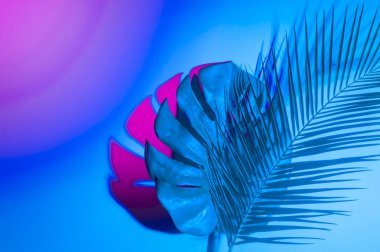 Canlı, kalın, gradyan holografik neon renkli tropikal yapraklar.