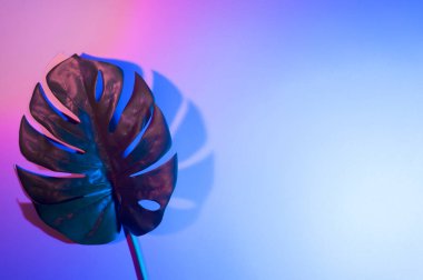 Neon ışıklı tropikal yaprak. Holografik yapraklar.