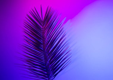 Canlı, kalın, gradyan holografik neon renkli tropikal yapraklar.
