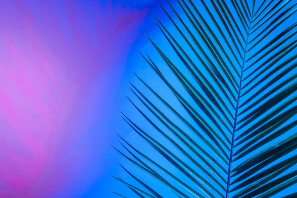 Holografik yapraklar. Sanat kavramı. Asgari sürrealizm arka planı