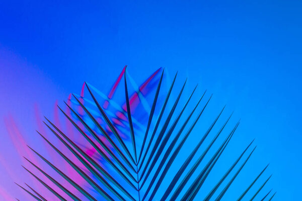 Тропические листья в ярких жирных градиентных голографических неоновых цветах