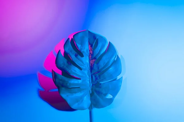 ネオンライトの熱帯葉 ホログラフィックの葉 — ストック写真