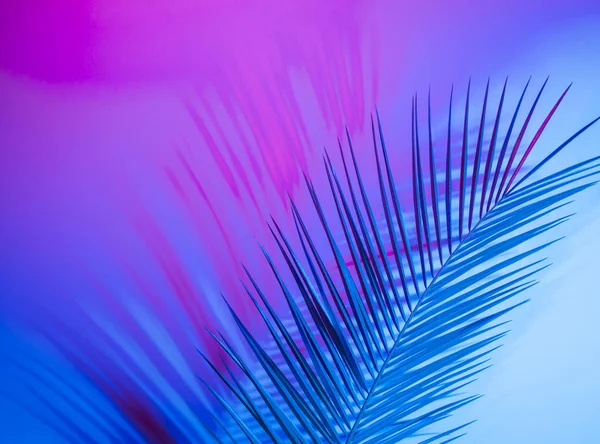 Holografik yapraklar. Sanat kavramı. Asgari sürrealizm arka planı